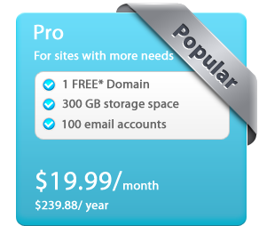 Website Packages