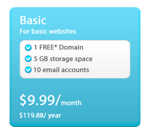 Website Packages